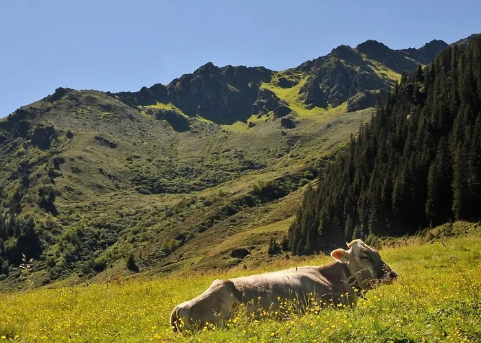 Anna * كالتنباش